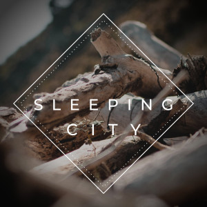 Album Sleeping City from Tethys