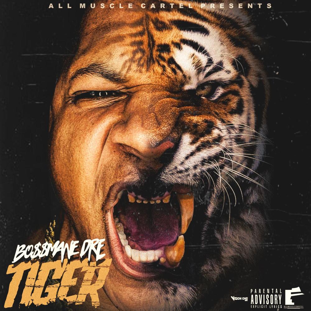 Tiger  (instrumental)