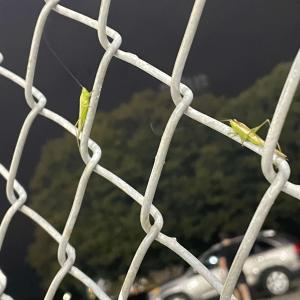 收聽hythloday的BetterTomorrow歌詞歌曲