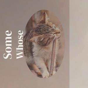 收听Chane Grig的Cover One歌词歌曲