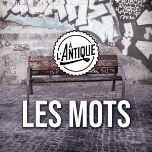Listen to Les mots (Radio edit) song with lyrics from MC Sirop