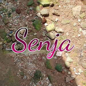 Album Senja from Senja