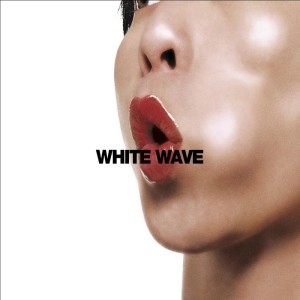 Death By Kite的專輯White Wave (Single Edit)