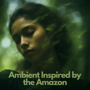 Dengarkan Slow Canopy Drift lagu dari Stress Relief Calm Oasis dengan lirik