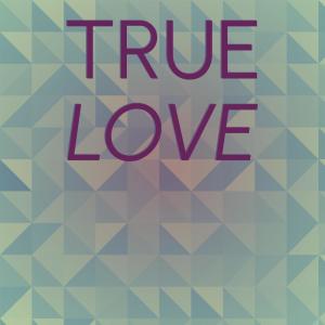 อัลบัม True Love ศิลปิน Silvia Natiello-Spiller