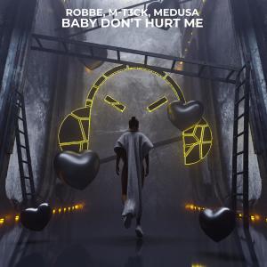 Album Baby Don't Hurt Me oleh Robbe