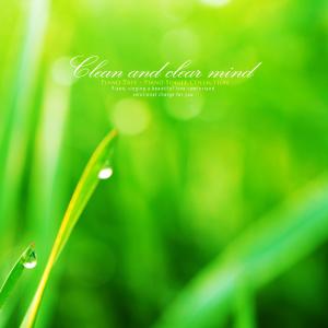 Album Clear and clean mind oleh Piano Tree