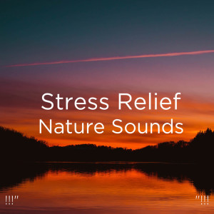 ดาวน์โหลดและฟังเพลง Anxiety Relief Music พร้อมเนื้อเพลงจาก Nature Sounds