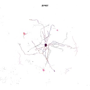 ดาวน์โหลดและฟังเพลง Metamorph (完整版) พร้อมเนื้อเพลงจาก PHONO