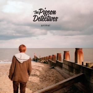 ดาวน์โหลดและฟังเพลง Animal พร้อมเนื้อเพลงจาก The Pigeon Detectives