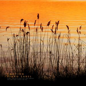 Album On A Rainy Day, The Moment Of Farewell (Emotional Piano) from Piano Diary
