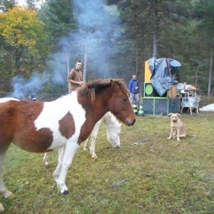 收聽La Tartine的Test De Frre歌詞歌曲