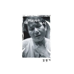 Listen to 난 그냥 이대로 있겠어 (acoustic) song with lyrics from 김창기