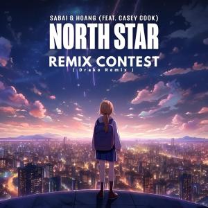 Casey Cook的專輯Sabai & Hoang - North Star (feat. Casey Cook) [DrakoAliosis Remix]