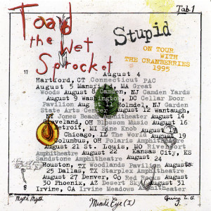 收聽Toad The Wet Sprocket的Stupid (Remixed by Susan Rogers)歌詞歌曲