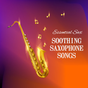 ดาวน์โหลดและฟังเพลง Wonderful World พร้อมเนื้อเพลงจาก Essential Band
