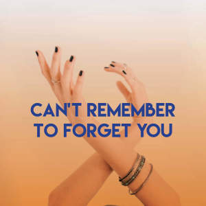 Dengarkan Can't Remember to Forget You lagu dari Alegra dengan lirik