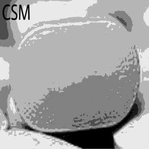 CSM的專輯VOCI (versione strumentale)