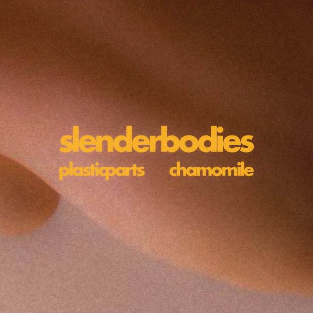 Dengarkan lagu chamomile nyanyian slenderbodies dengan lirik