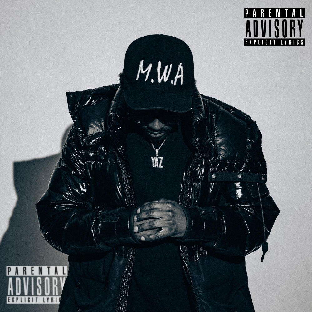 RIP Harambe (Explicit)