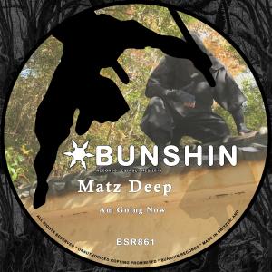 ดาวน์โหลดและฟังเพลง Am Going Now พร้อมเนื้อเพลงจาก Matz Deep