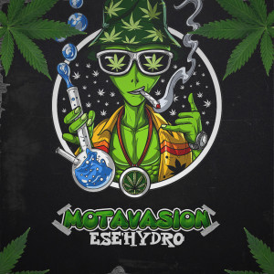 Dengarkan lagu Motavasion (Explicit) nyanyian Ese Hydro dengan lirik