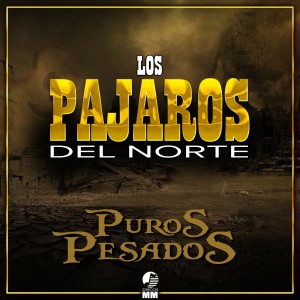 收聽Los Pajaros del Norte的Malditos Cuernos del Diablo歌詞歌曲