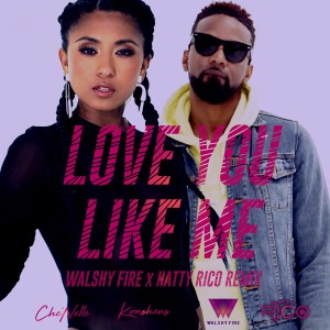 ดาวน์โหลดและฟังเพลง Love You Like Me (Walshy Fire & Natty Rico Remix) พร้อมเนื้อเพลงจาก Che'Nelle