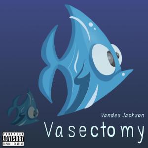 Vandes Jackson的专辑Vasectomy