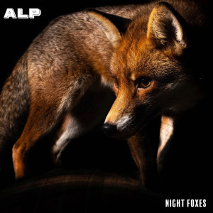 Album Night Foxes oleh ALP