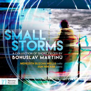 Meredith Blecha-Wells的專輯Small Storms