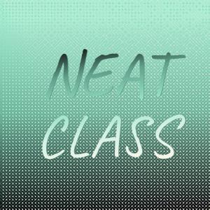 Various Artists的專輯Neat Class