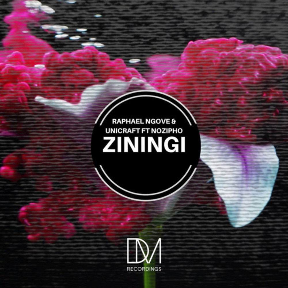 Ziningi (Original Mix)