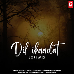 Harshal Rajput的专辑Dil Ibaadat Lofi Mix