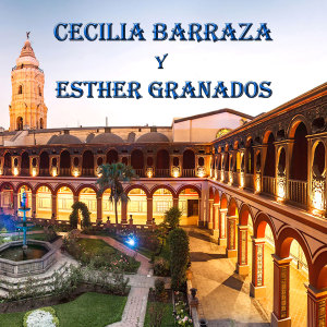 Listen to Mi Tesoro song with lyrics from Cecilia Barraza