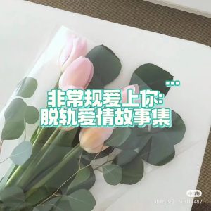 橘柚有聲的專輯非常規愛上你：脫軌愛情故事集