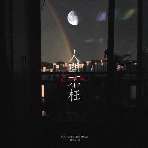 Listen to 人间不枉（Single Version） (其他) song with lyrics from 连淮伟全国后援会