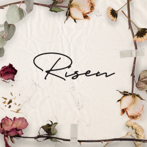 Dengarkan Risen lagu dari Group Star dengan lirik