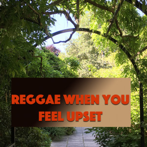 Album Reggae When You Feel Upset from Various