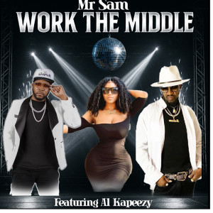 Album WORK THE MIDDLE from Mr Sam
