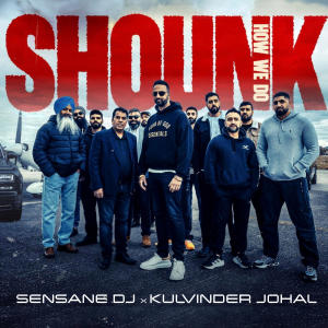 SENSANE DJ的專輯Shounk (How We Do)