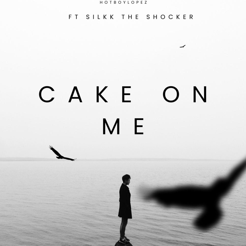Cake on me (feat. Silkk the Shocker) (Explicit)
