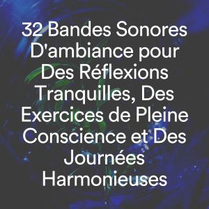 Album 32 Bandes Sonores D'ambiance pour Des Réflexions Tranquilles, Des Exercices de Pleine Conscience et Des Journées Harmonieuses from Musique Relaxante