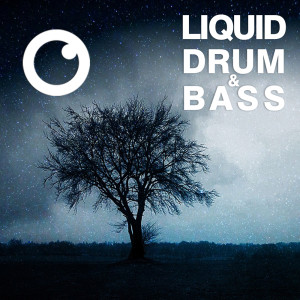 Dreazz的專輯Liquid Drum & Bass Sessions #60