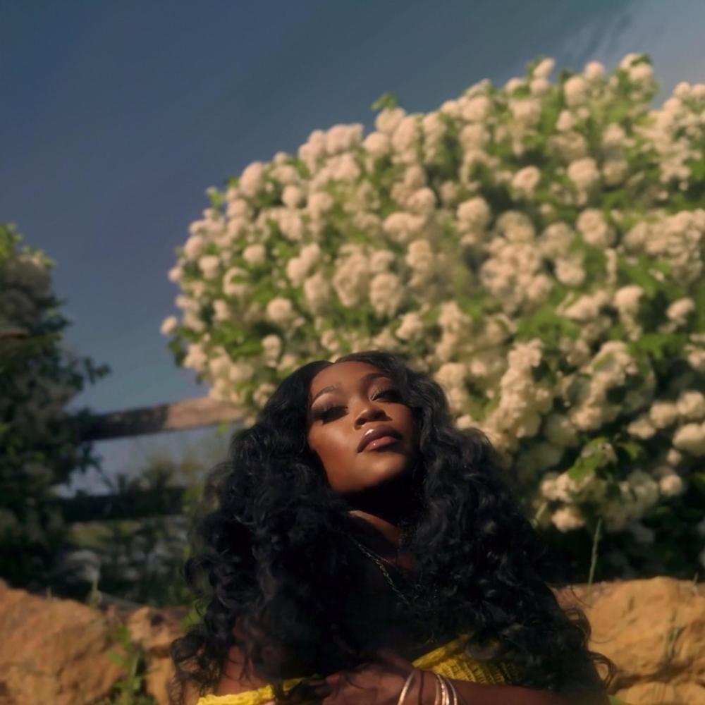 Lies & Butterflies (Explicit)