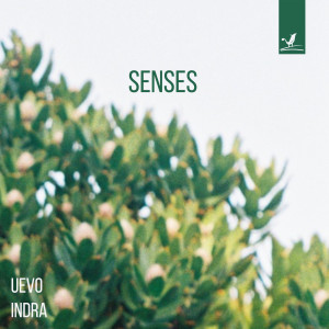 Album Senses from Indra