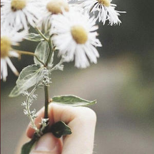 Jaira的專輯hope holds on to you