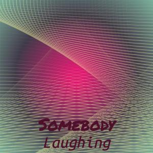 Various Artists的專輯Somebody Laughing