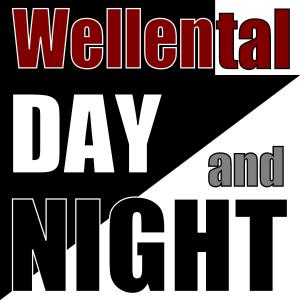 Dengarkan lagu Day and Night (Tiefbauamt Remix) nyanyian Wellental dengan lirik