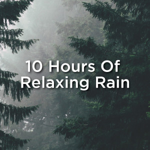 Dengarkan Cosy Rain lagu dari Rain Sounds dengan lirik